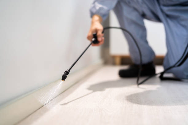 Professional exterminator conducting IPM assessment in Long Grove